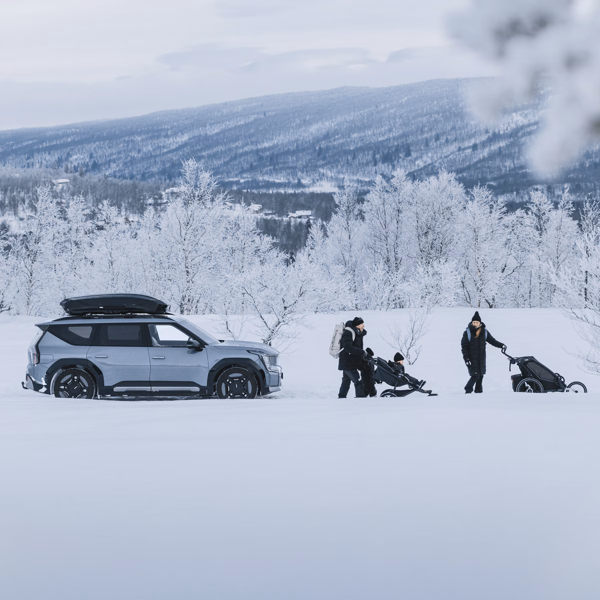 Thule Motion 3 XL — приказ 6